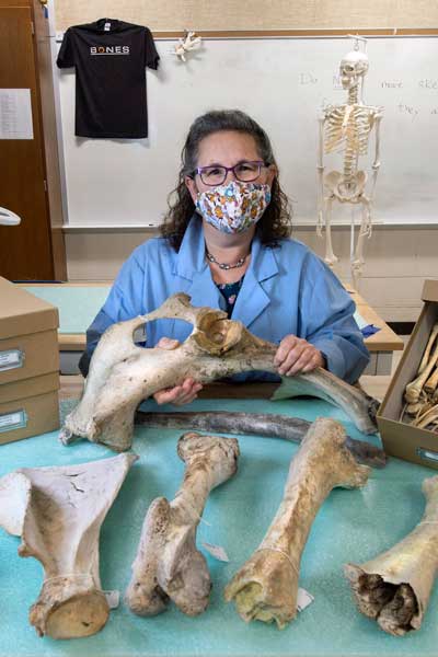 a masked tal simmons among a variety of bone samples in a lab