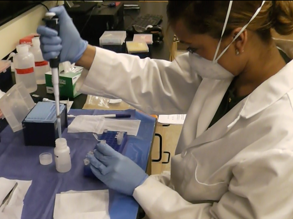 Kelly Knight, wearing a lab coat, mask and gloves, pipes liquid into a container in a lab